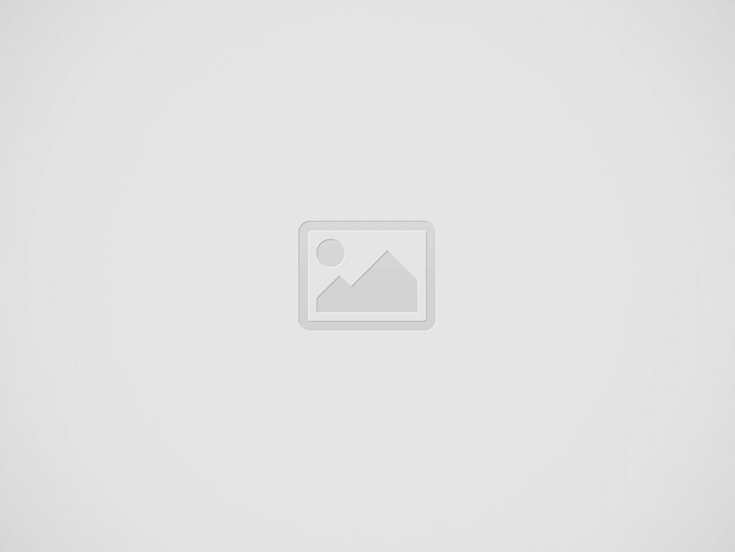 SAP Support (FI, CO, SD, MM, PP modules)